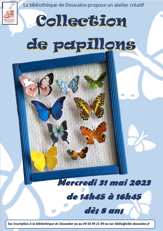 Collection de Papillons