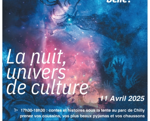 affiche avec le programme de la nuit est belle pour Douvaine le 11 avril 2025