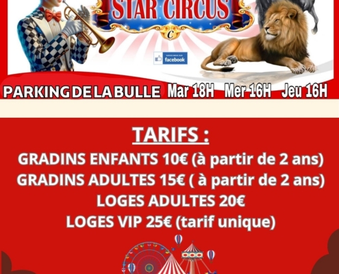 Affiche du spectacle de Cirque les 29, 30 avril et 1er mai 2025