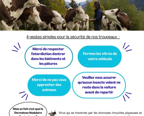 affiche des consignes de prévention de la dermatose nodulaire contagieuse Bovine