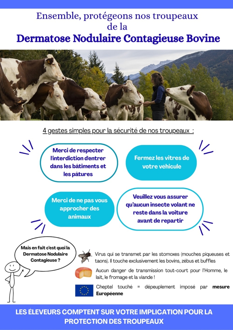 affiche des consignes de prévention de la dermatose nodulaire contagieuse Bovine