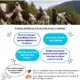 affiche des consignes de prévention de la dermatose nodulaire contagieuse Bovine
