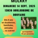 Affiche "Jouons au Mölkky" le dimanche 14 septembre 2025 au boulodrome de Douvaine dès 13h30