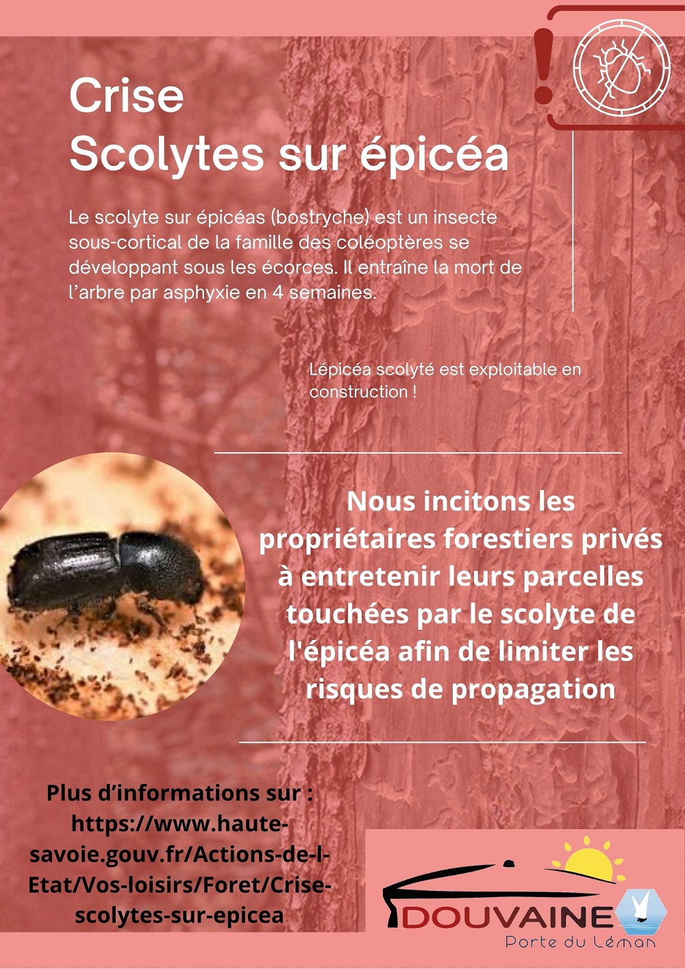affiche pour sensibiliser les propriétaires de Bois à traiter leurs épicéas contre le Scolyte