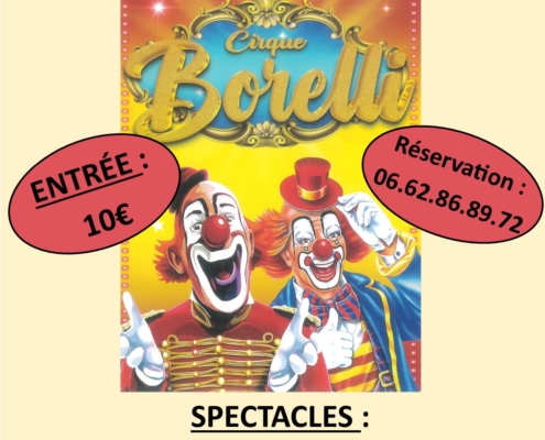 affiche du cirque borelli, les 10, 11 et 12 février 2026 à 16h à Douvaine parking de la Bulle. Entrée 10€, réservation au 06 62 86 89 72