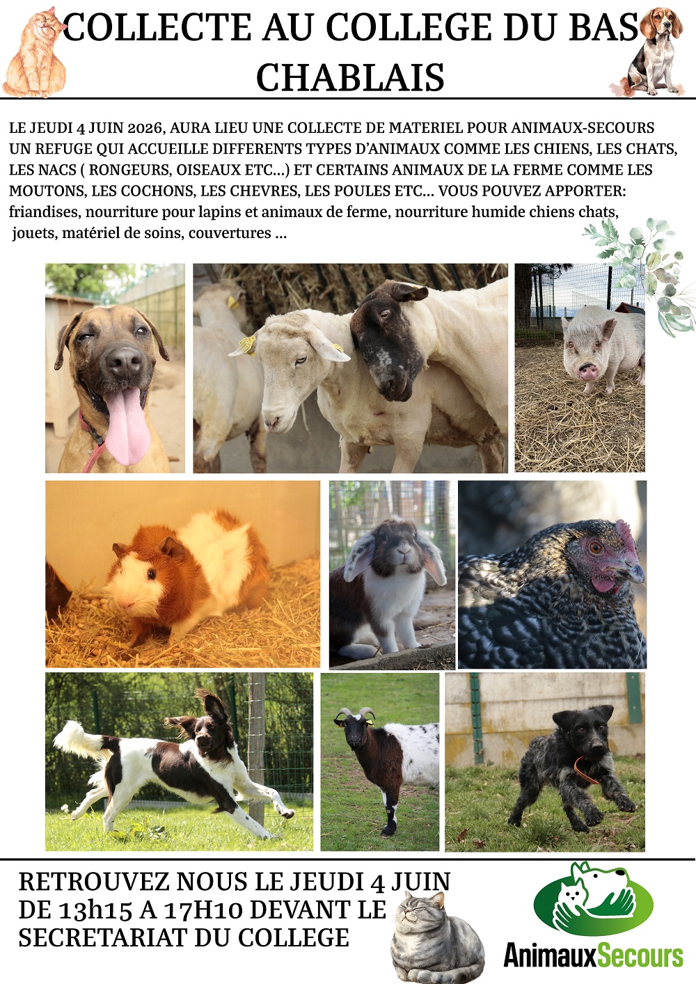 Collecte de matériel pour Animaux secours